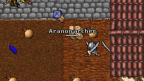 Aranon archer on screen