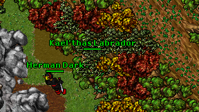 Kael'thas Labrador on screen