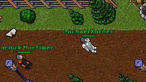 Michael Xorner on screen