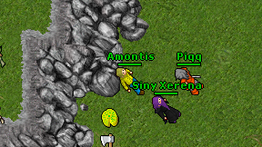 Amontis on screen