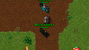 Alce sherr on screen
