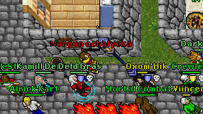 Norgon ochalycka on screen
