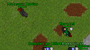 Mateusz Korius on screen