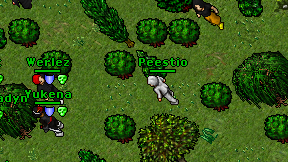 Peestio on screen
