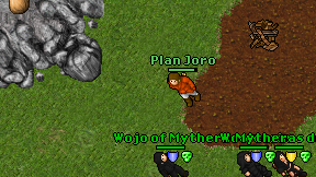 Plan Joro on screen