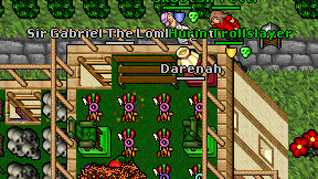 Darenah on screen