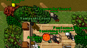 Yamasaki Cross on screen