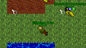 Elimina Tor on screen