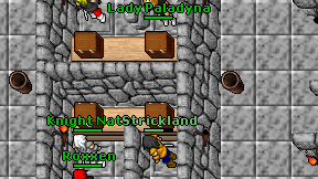 Lady Paladyna on screen