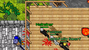 Nukukur on screen