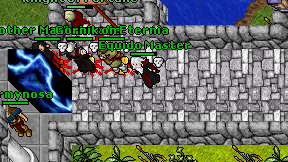 Equido Master on screen