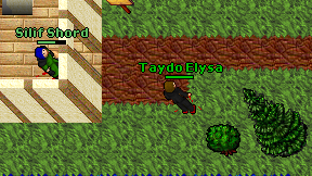 Taydo Elysa on screen