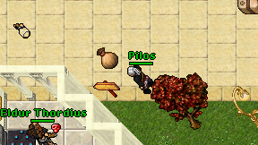 Pilos on screen