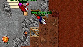 Kose bjorn on screen