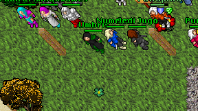 Umbris on screen
