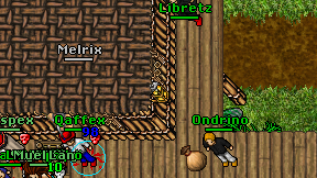Libretz on screen