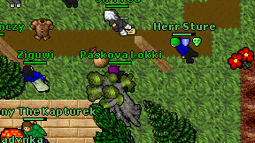 Paskova Lokki on screen