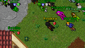 Xookey on screen