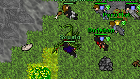 Scualo on screen