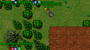 Yohualticitll on screen