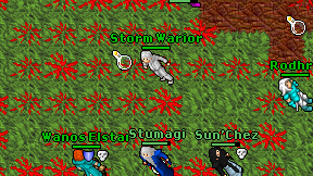 Storm Warior on screen