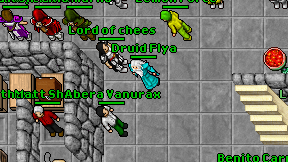 Druid Flya on screen