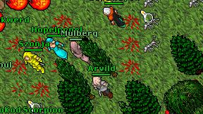 Arvild on screen