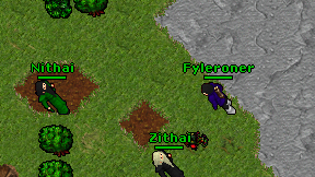 Fyleroner on screen