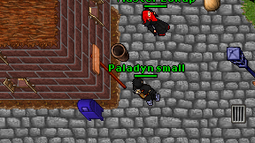 Paladyn small on screen