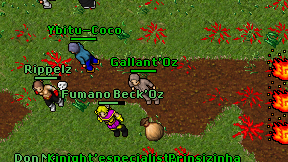 Gallant'Oz on screen