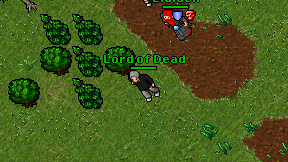 Lord of Dead on screen