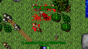 Vrb maluco on screen