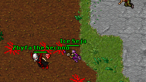 Ice Seja on screen