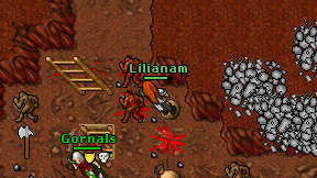 Lilianam on screen