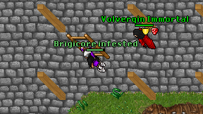 Brigicore infested on screen