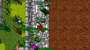 Fiouz on screen