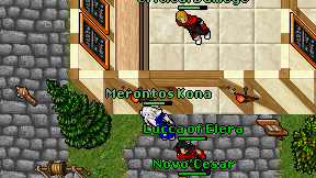 Merontos Kona on screen
