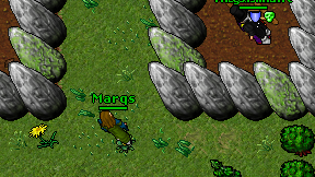 Marqs on screen