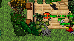 Hohland on screen