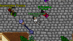 Meron Cell on screen