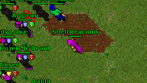 Shell Draconis on screen