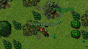 Luxus Rossan on screen