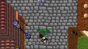 Vozao on screen