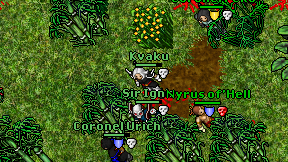 Kvaku on screen