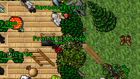 Knights Kung on screen