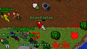 Dran Flatas on screen