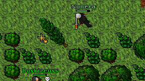 Nunera on screen