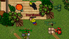 Dardiano on screen