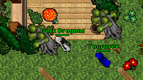 Dark Dragons on screen