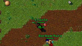 Eforte on screen